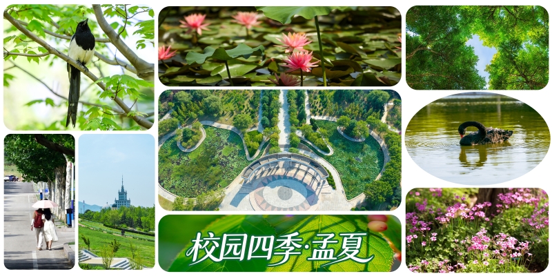 澳门永利皇宫赌场