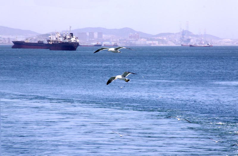 澳门永利皇宫赌场