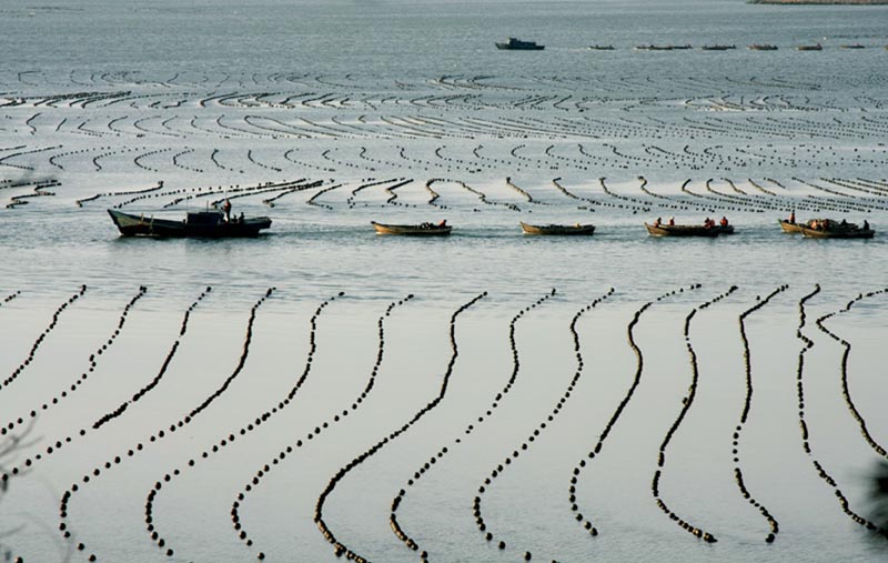 澳门永利皇宫赌场