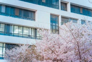 澳门永利皇宫赌场