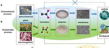 澳门永利皇宫赌场